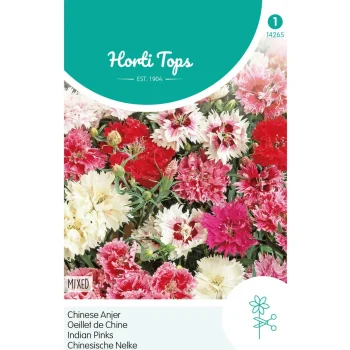 Best Horti Tops Chinese Anjer Mix