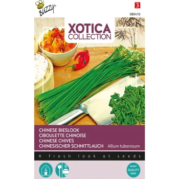 Hot Buzzy Chinese Bieslook