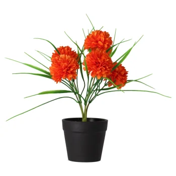 Online Chrysant In Pot Roze, Oranje, Crème