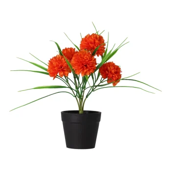 Online Chrysant In Pot Roze, Oranje, Crème