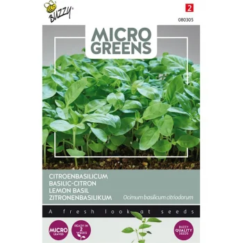 Fashion Buzzy Citroenbasilicum Microgreens Zaden