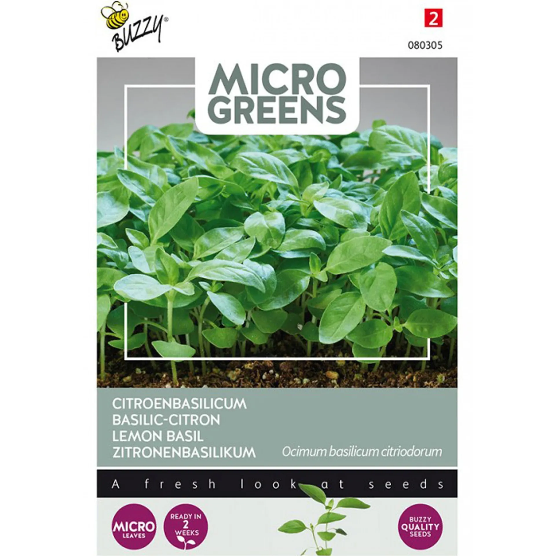 citroenbasilicum-microgreens-z-YhtSsnTE-0.webp Fashion Buzzy Citroenbasilicum Microgreens Zaden