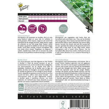Fashion Buzzy Citroenbasilicum Microgreens Zaden