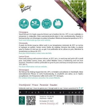 Clearance Buzzy Citroengras