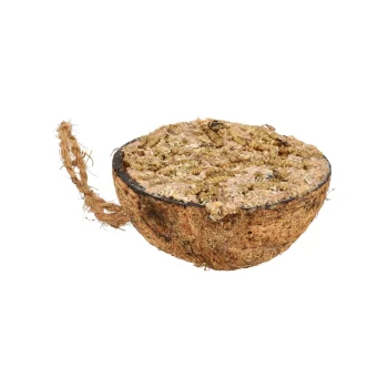 Best Smulti Cocosnoot Half Vet Met Soldaat Vlieg