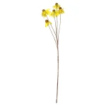 Outlet Everlands Coneflower Geel 92 Cm