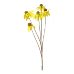 coneflower-geel-92-cm-GybIpWdH-0.webp