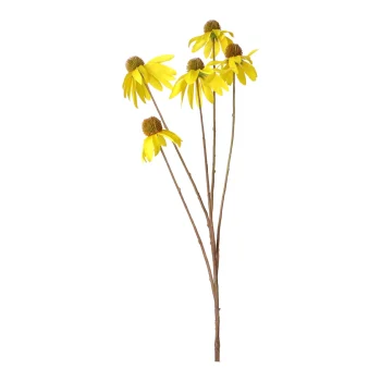 Outlet Everlands Coneflower Geel 92 Cm