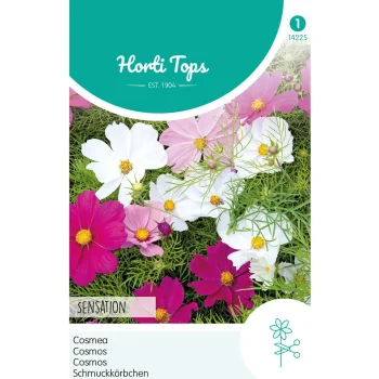 Fashion Horti Tops Cosmos Sensation Mix