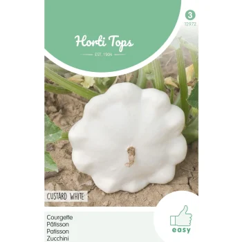 Online Horti Tops Courgette Custard White