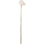 Sale Gebr. De Boon Dafnianet 19cm