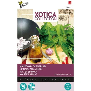 Fashion Buzzy Dagoeblad