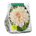 Online Baltus Dahlia Dinnerplate Café Au Lait Per 1