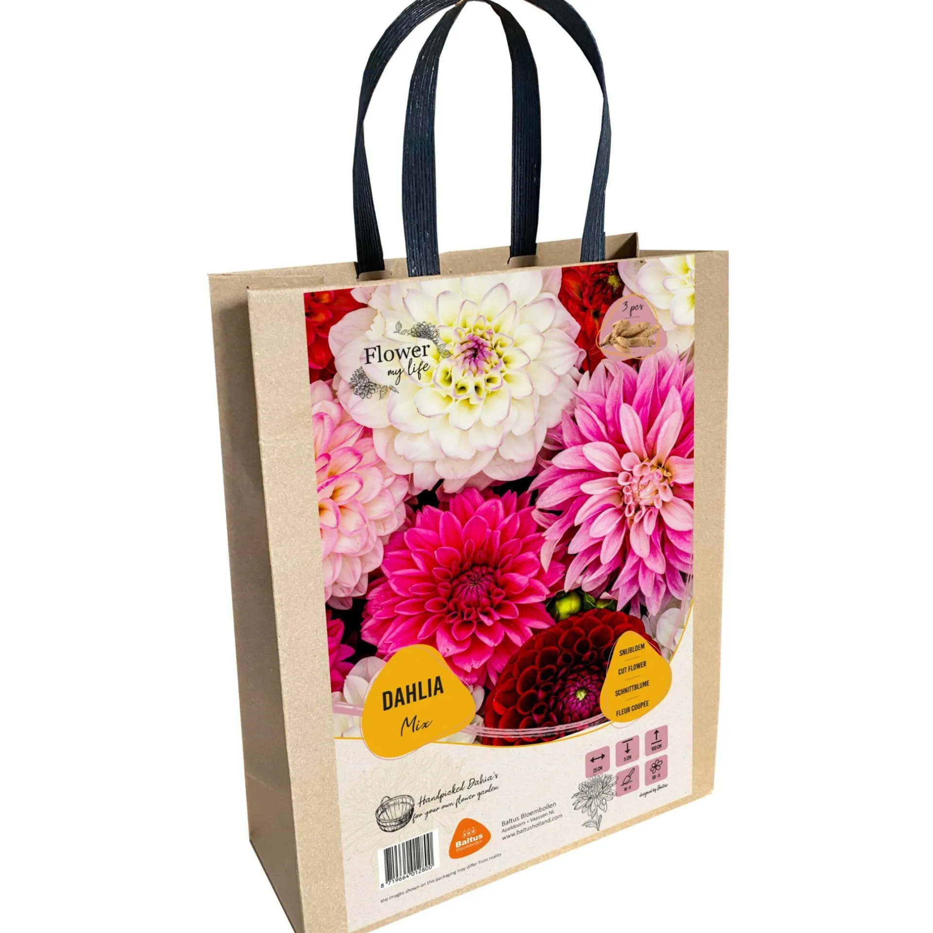 dahlia-flower-my-life-giftbag-VYFvTZhJ-0.webp Fashion Baltus Dahlia Flower My Life Giftbag