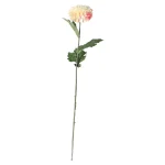 Discount Everlands Dahlia Op Steel Creme 75 Cm