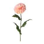 dahlia-op-steel-roze-75-cm-EHraAdke-0.webp