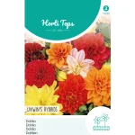 Fashion Horti Tops Dahlia Unwin Mix