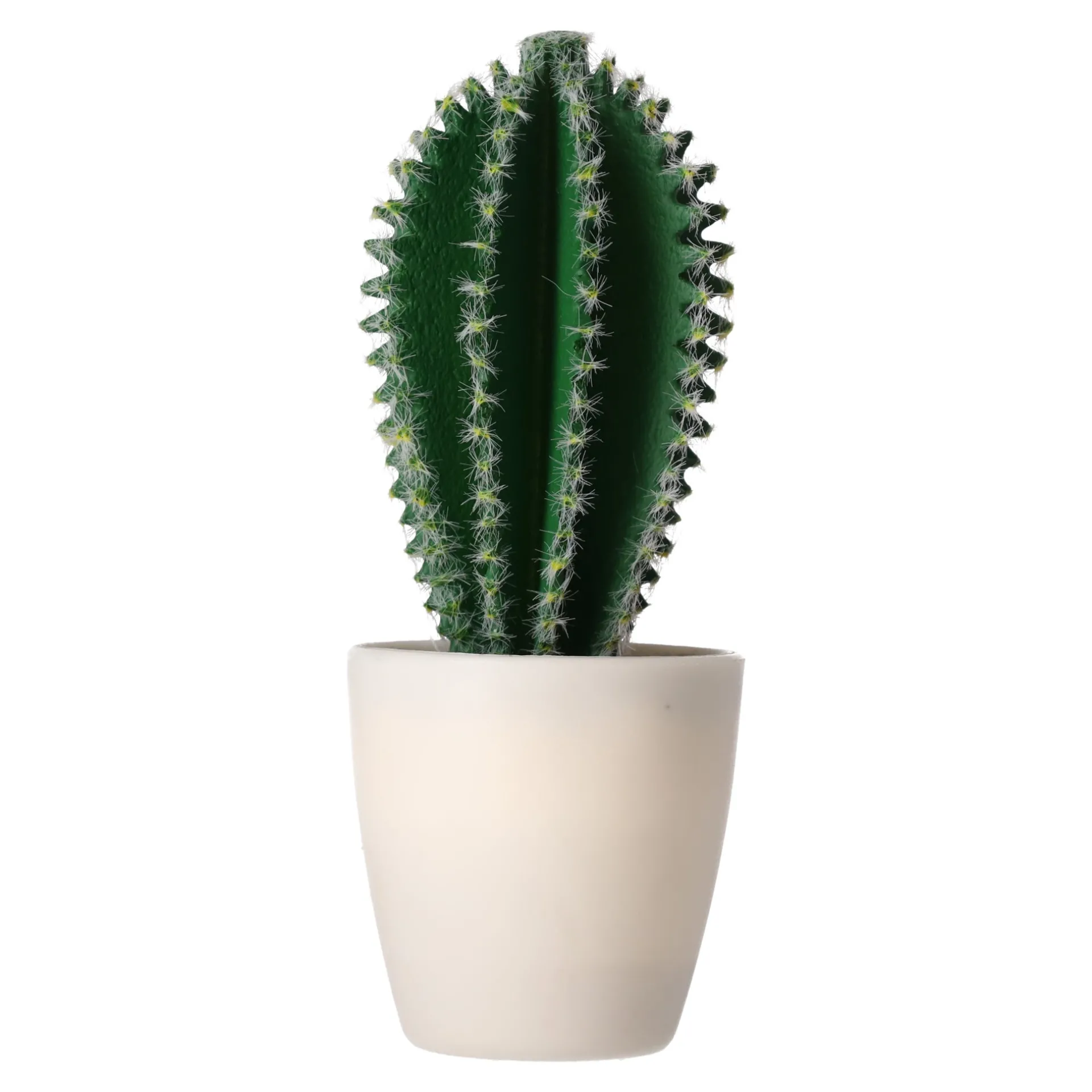 decoratieve-cactusplant-19-cm-zeSymEHO-0.webp Outlet O'malley Decoratieve Cactusplant 19 Cm Diverse Assorti