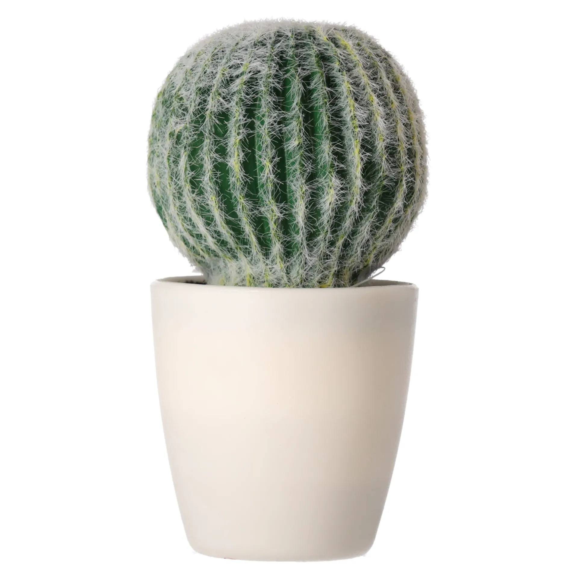 decoratieve-cactusplant-19-cm-zeSymEHO-1.webp Outlet O'malley Decoratieve Cactusplant 19 Cm Diverse Assorti