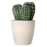 decoratieve-cactusplant-19-cm-zeSymEHO-0.webp
