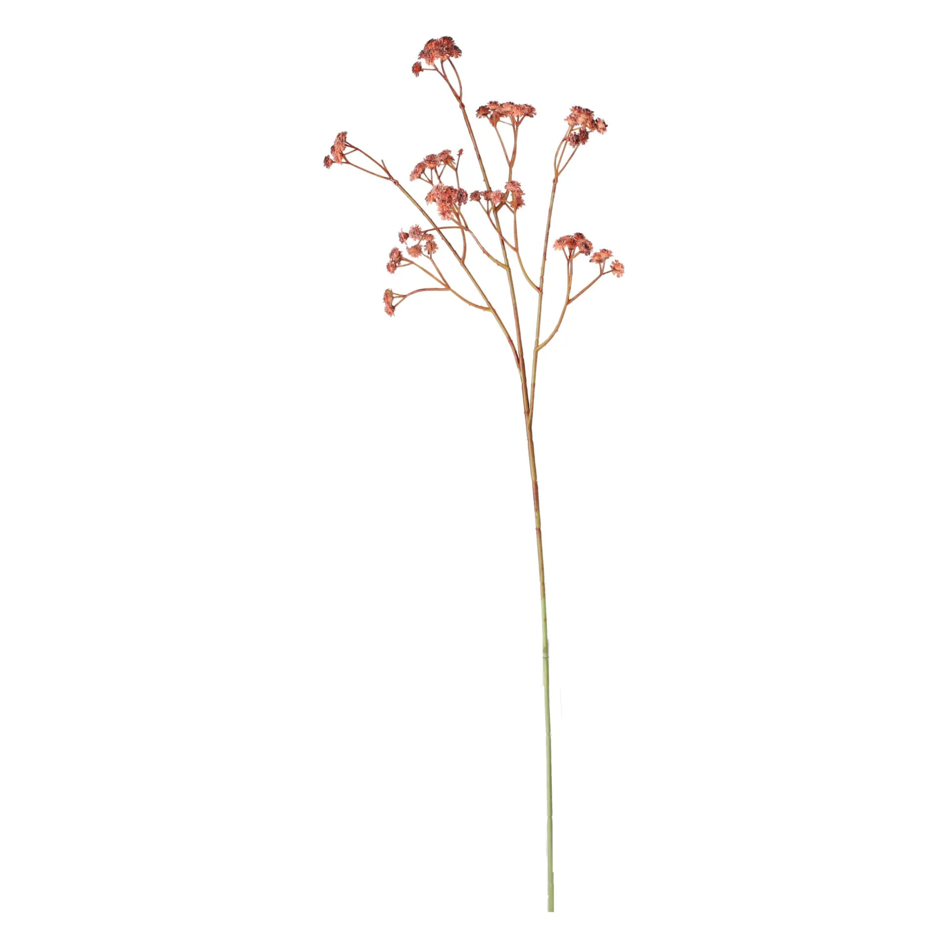 decoratieve-tak-bruidssluier-6-rlAxeTyD-2.webp Online Boltze Home Decoratieve Tak Bruidssluier 60 Cm 2 Assorti