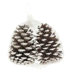 New Natural Collections Dennenappel Snowy White 13x13x8 2st