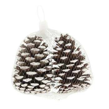 New Natural Collections Dennenappel Snowy White 13x13x8 2st