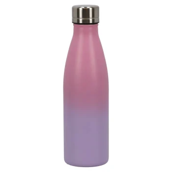 Clearance Lunch Buddies Drinkfles RVS