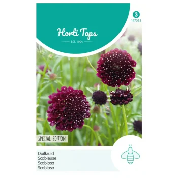 Sale Horti Tops Duifkruid Diep Donkerpaars