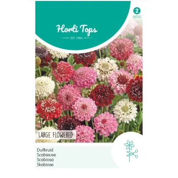 Hot Horti Tops Duifkruid Mix