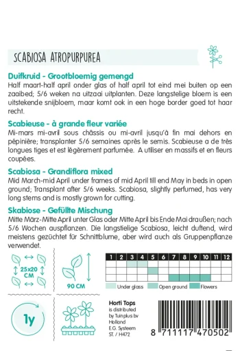 Hot Horti Tops Duifkruid Mix