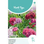 Fashion Horti Tops Duizendschoon Dubbelbloemig Mix