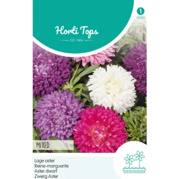 Fashion Horti Tops Dwergaster Mix