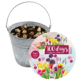 New Baltus Emmer Met Bloembollenmix 25 Stuks