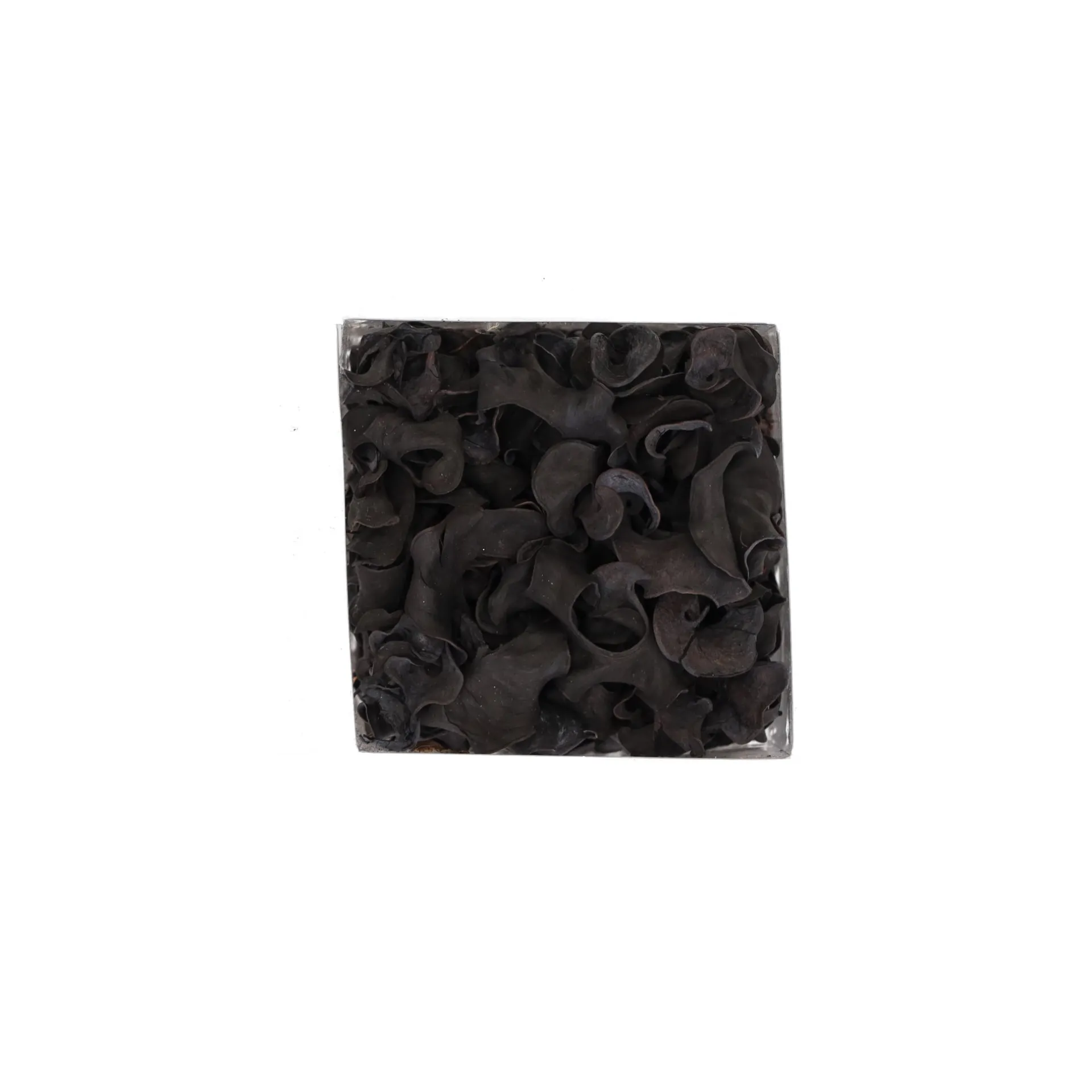 exotische-mix-natuur-10-x-10-x-xPWlzmNK-2.webp Discount Natural Collections Exotische Mix Natuur 10 X 10 X 20 Cm 4 Assorti