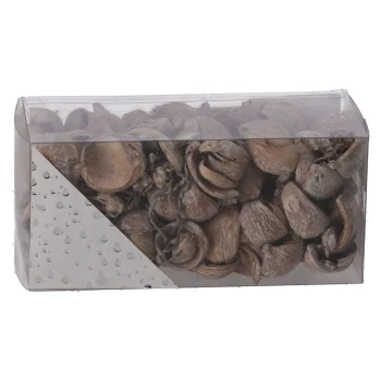 Outlet Natural Collections Exotische Mix Natuur White-wash 6 X 6 X 14 Cm 6 Assorti