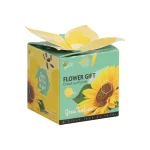 flower-gift-zonnebloem-buzzy-ybKnLRKK-0.webp