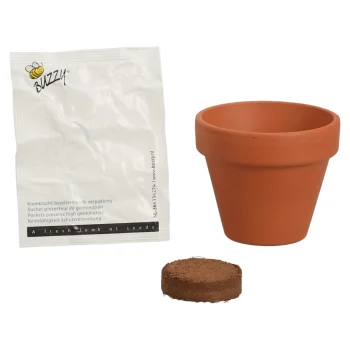 Clearance Buzzy Flower Gift Zonnebloem