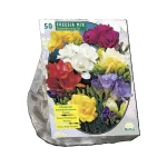Sale Baltus Freesia Mix Per 50 Dubbel