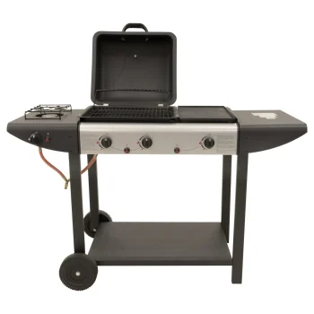 Clearance Gasbarbecue Harz ER-8206C1 DE