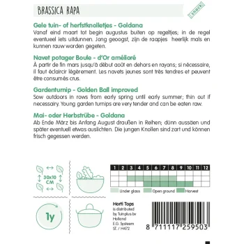 Sale Horti Tops Gele Tuin- Of Herfstknolletjes Goldana Zaad