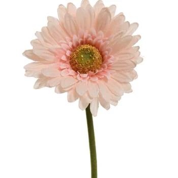 Outlet Decoris Gerbera Perzik 50 Cm
