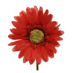 Online Everlands Gerbera Rood 50 Cm