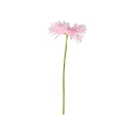 gerbera-roze-50-cm-jYqdBrso-0.webp