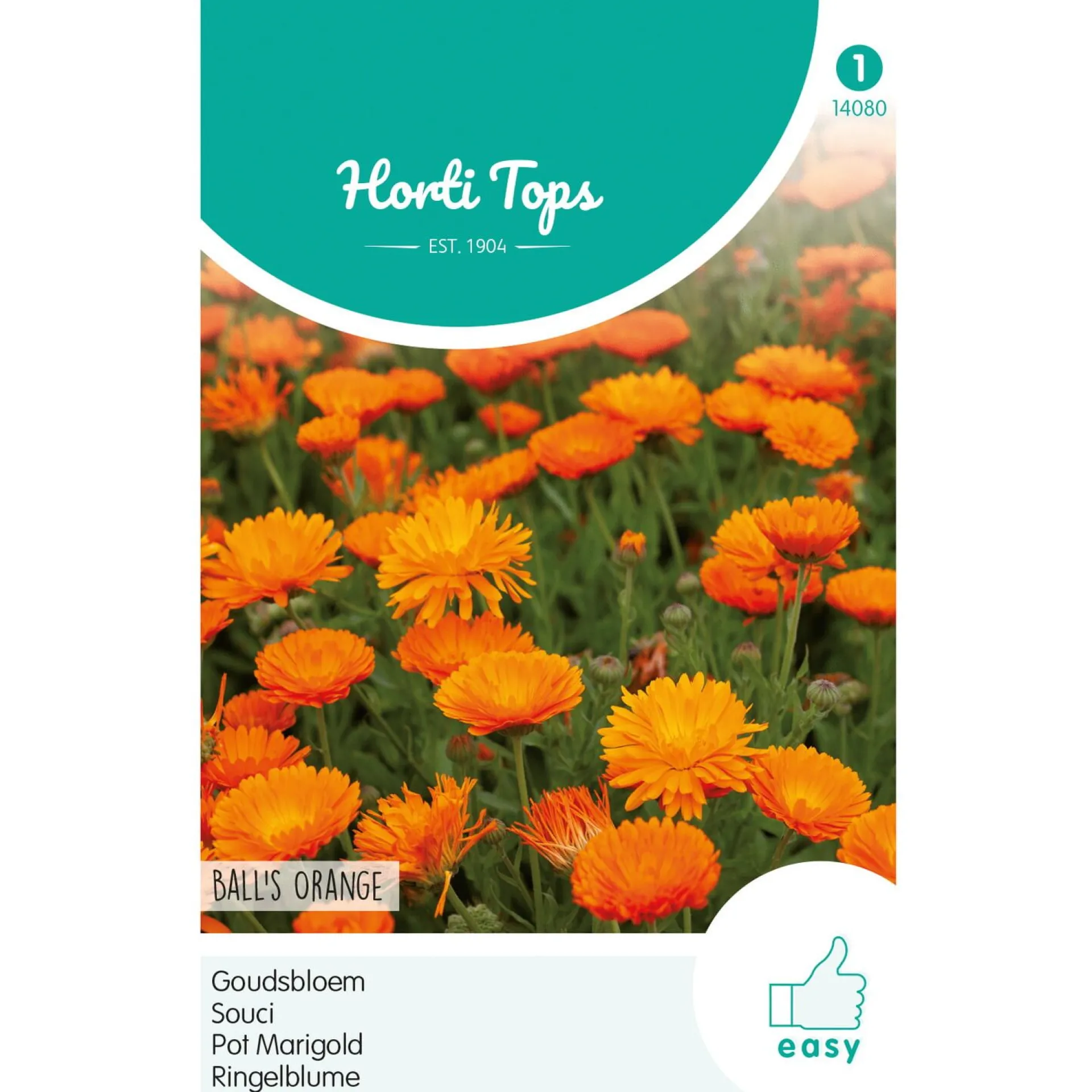 goudsbloem-balls-orange-cRbGoxRu-0.webp Best Horti Tops Goudsbloem Ball's Orange