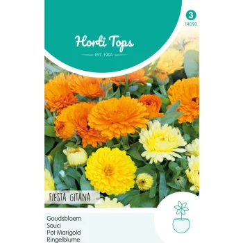 New Horti Tops Goudsbloem Fiesta Gitana Mix