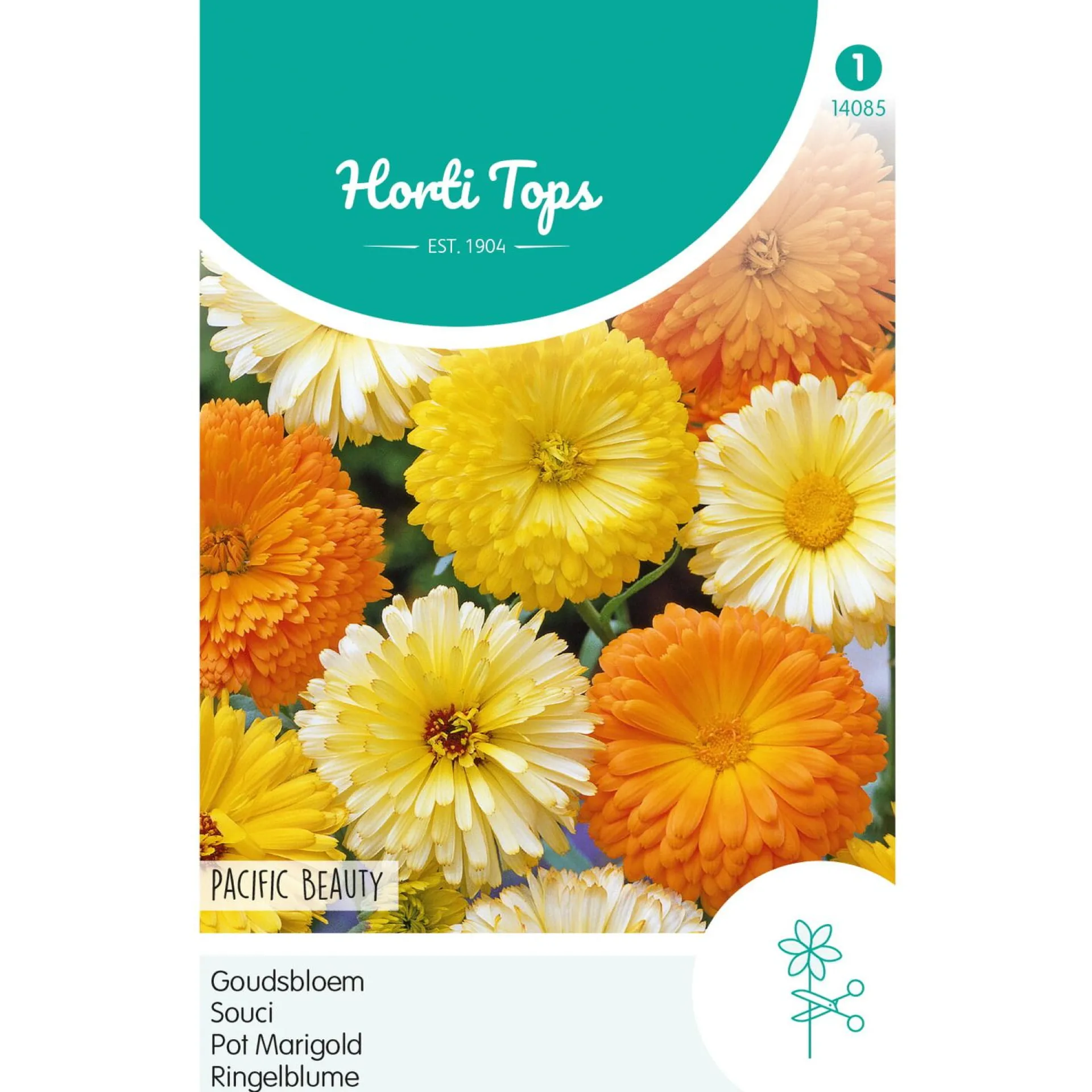 goudsbloem-pacific-beauty-mix-UvorxWXr-0.webp Best Horti Tops Goudsbloem Pacific Beauty Mix