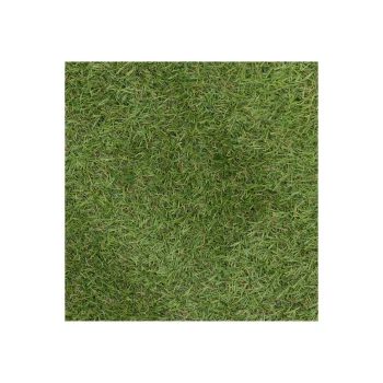 New Bel Garden Grastapijt Carrow Road 2x4M