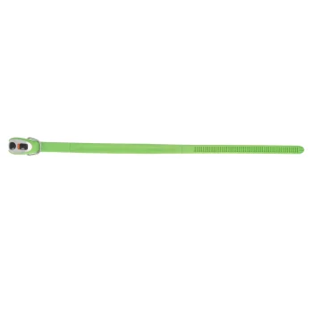 Fashion PetSafe Halsband Verstelbaar 30-49cm Groen PS
