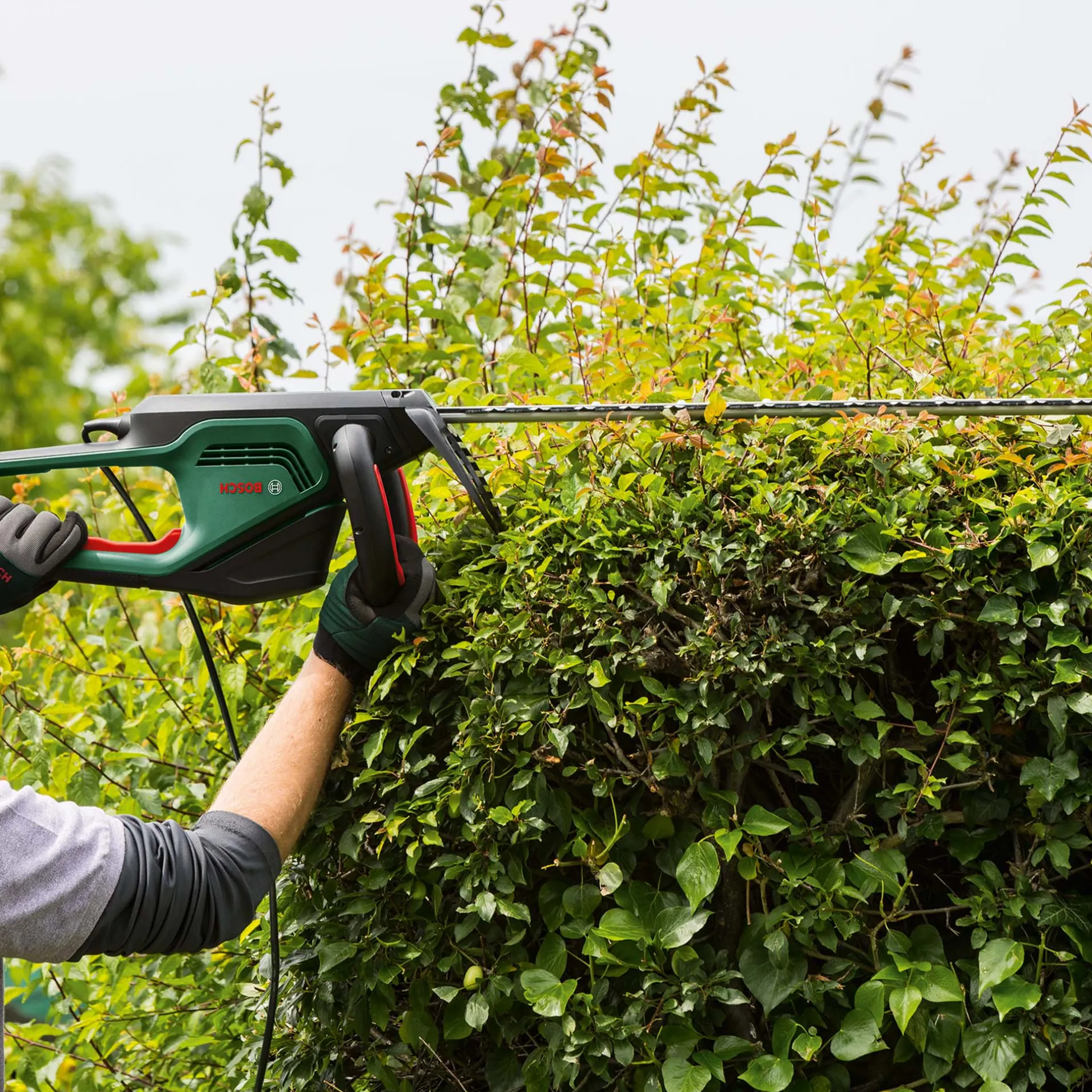 heggenschaar-advancedhedgecut-gKsZZuqK-6.webp New Bosch Heggenschaar AdvancedHedgeCut 65 V2